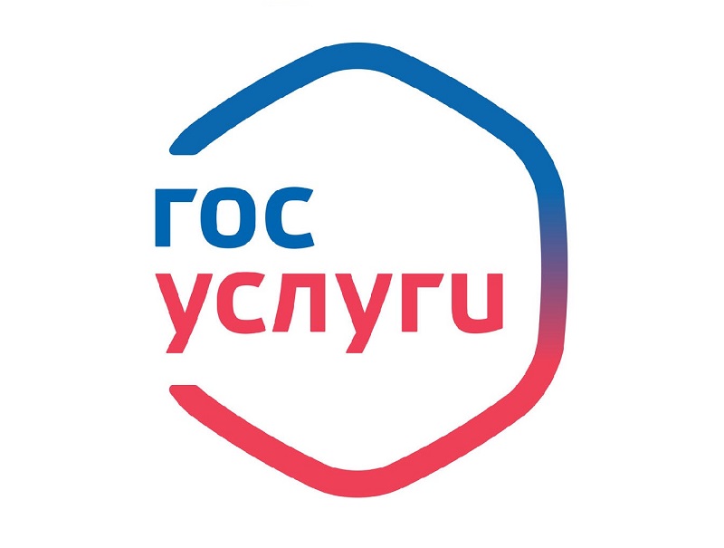 Муниципальные услуги, предоставляемые на портале Госуслуг..