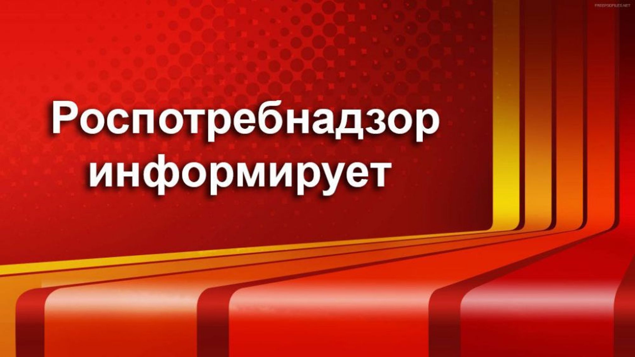 Череповецкий территориальный отдел Управления Роспотребнадзора по Вологодской области (далее территориальный отдел) информирует о рекомендациях по выбору новогодней елки..