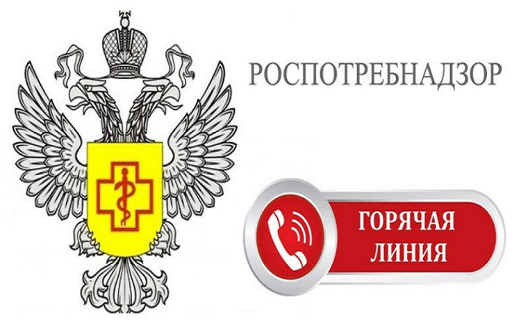 «Горячая линия». «Горячая линия».